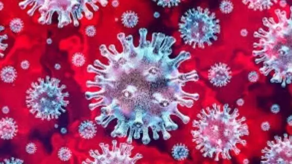 206 nouveaux cas, (Covid-19) Coronavirus Italie : plusieurs pays interdit l’accès sur leur territoire à des personnes venant d'Italie