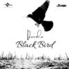 Danola prend son envol avec Black Bird
