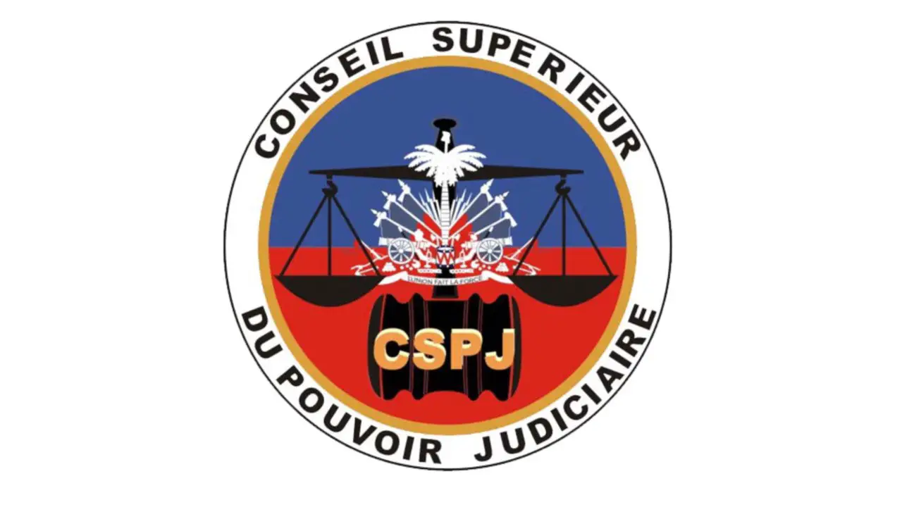 Le CSPJ expulse 19 juges pour faux diplôme, vol, raquette, manque d'intégrité