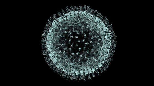 La Floride -La pandémie Coronavirus Haïti (Covid-19): une campagne de sensibilisation sera lancée ce dimanche