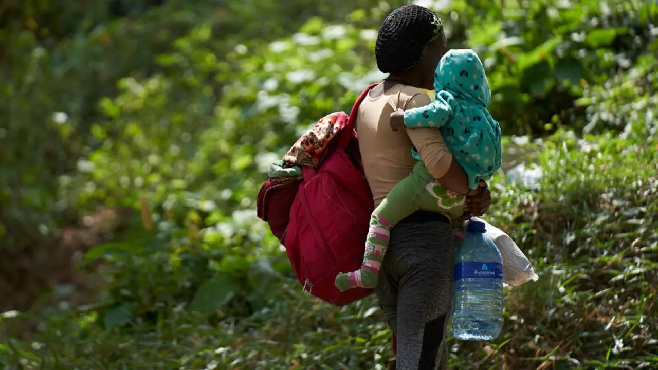 Près de 19000 enfants ont traversé la jungle du Darien entre janvier et septembre 2021