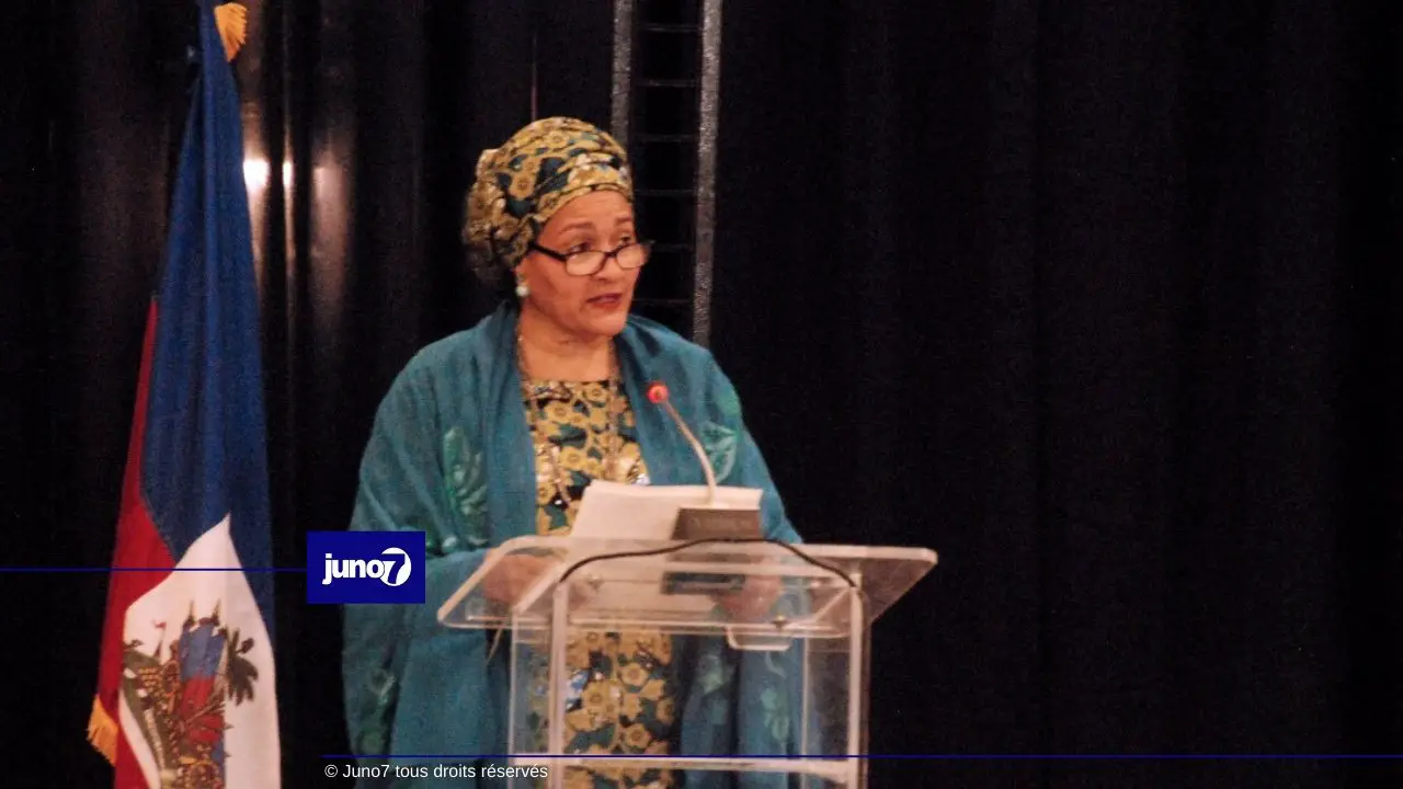 Amina Mohammed , Organisation d'une conférence internationale pour la reconstruction de la péninsule du Sud