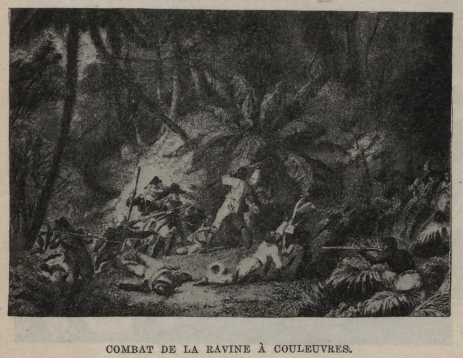 23 Février 1802: combat de la Ravine à Couleuvres, sous les ordres de Toussaint Louverture