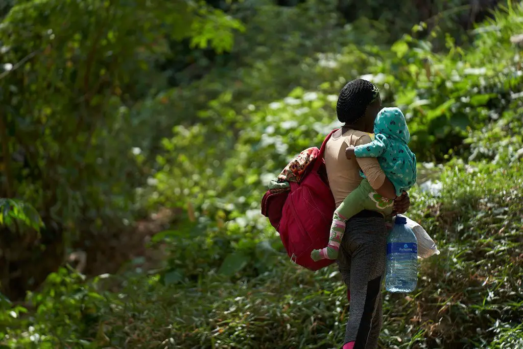 La migration haïtienne diminue à travers la jungle de Darien