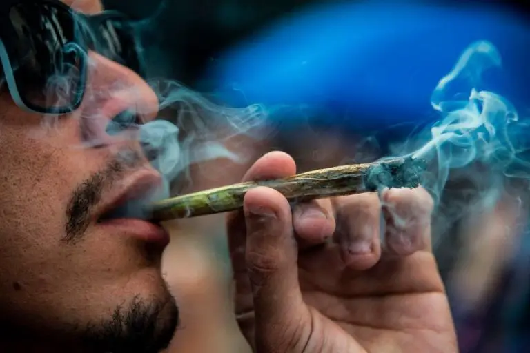 Selon une étude, fumer un gros joint de weed rendrait plus gentil et intelligent