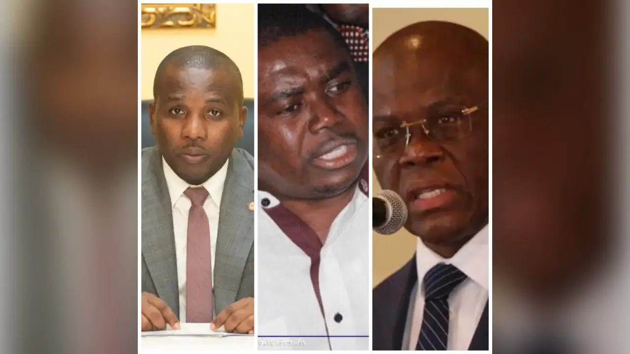 Des dirigeants politiques haïtiens réagissent après l’assassinat du ministre dominicain de l’environnement