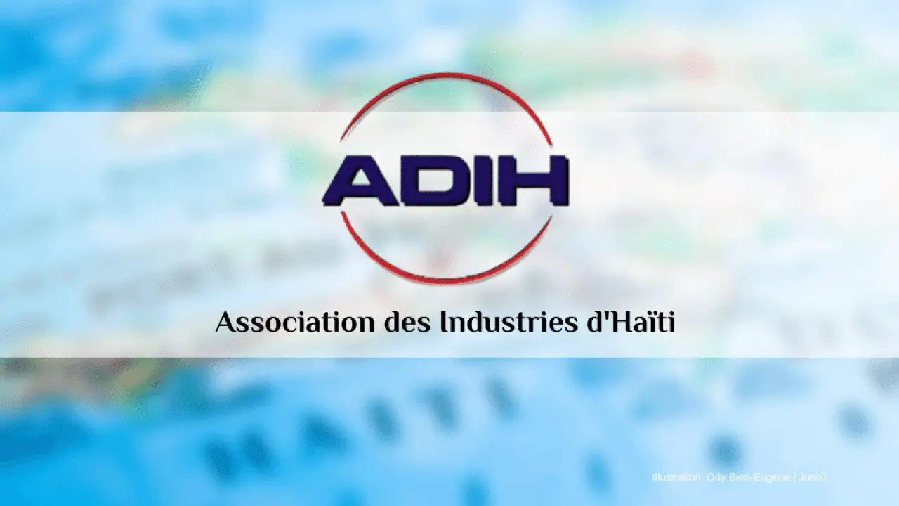Insécurité : bon nombre des compagnies s'apprêtent à interrompre leurs activités", prévient l'ADIH