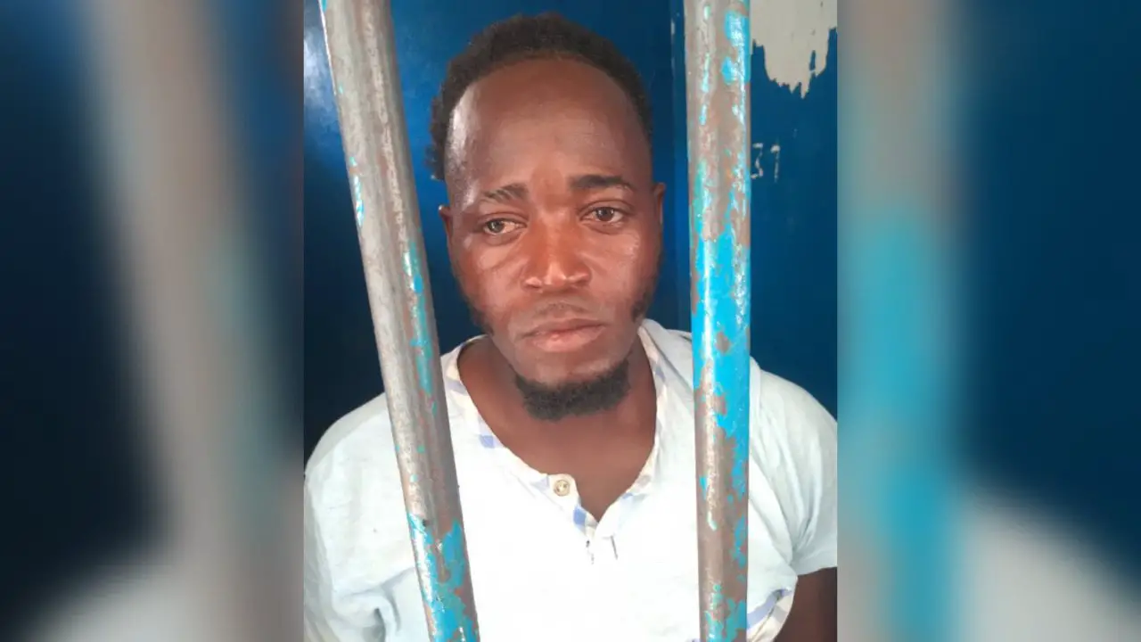 Haiti: arrestation de “Ti-Rasta” pour son implication présumée dans l'assassinat de Daphnée Joseph