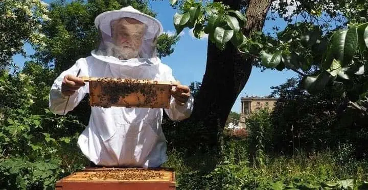 Les abeilles royales du palais de Buckingham ont été informées du décès de la reine Elizabeth II