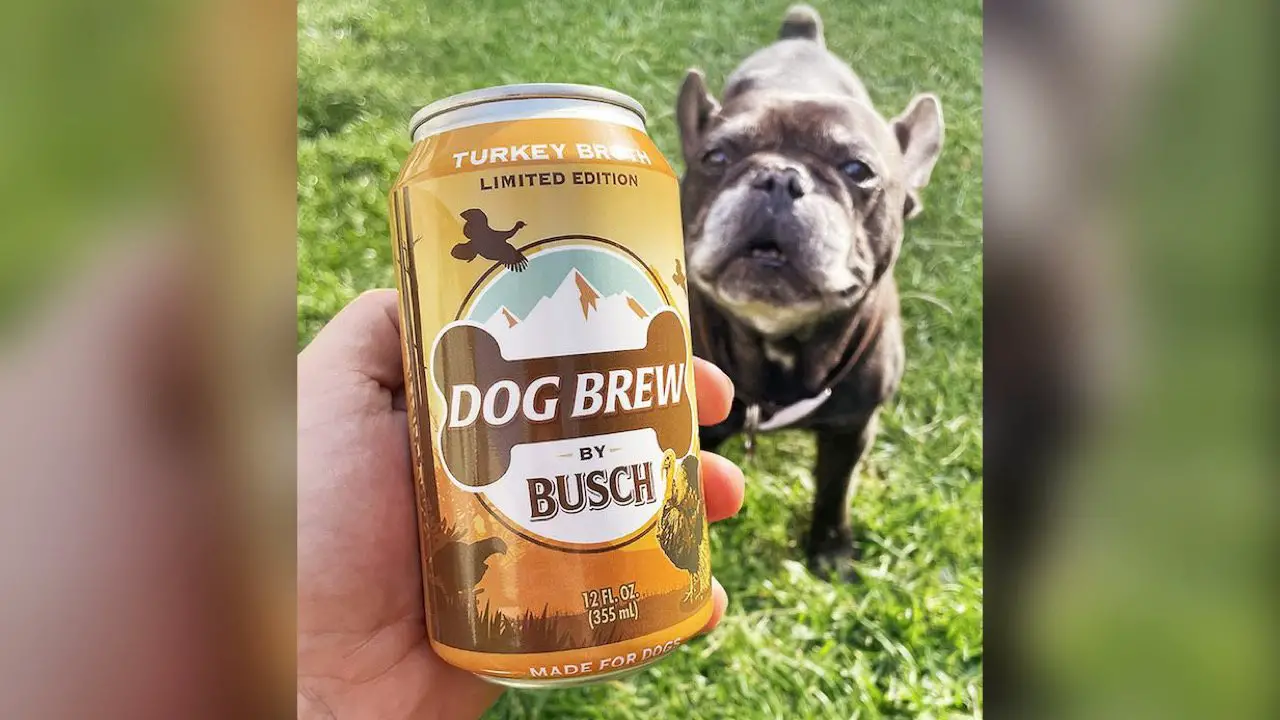 Une bière à la saveur de dinde sera disponible pour les chiens