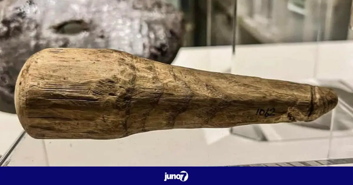 Le plus vieux sextoy d'une longueur de 16 cm et en bois découvert par des archéologues anglais