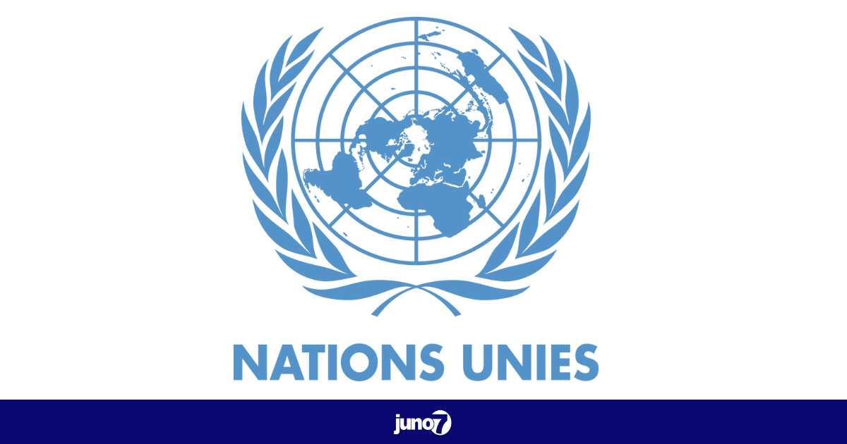 Le Conseil des droits de l'homme de l’ONU appelle à la nomination d'un expert indépendant des droits humains sur Haïti