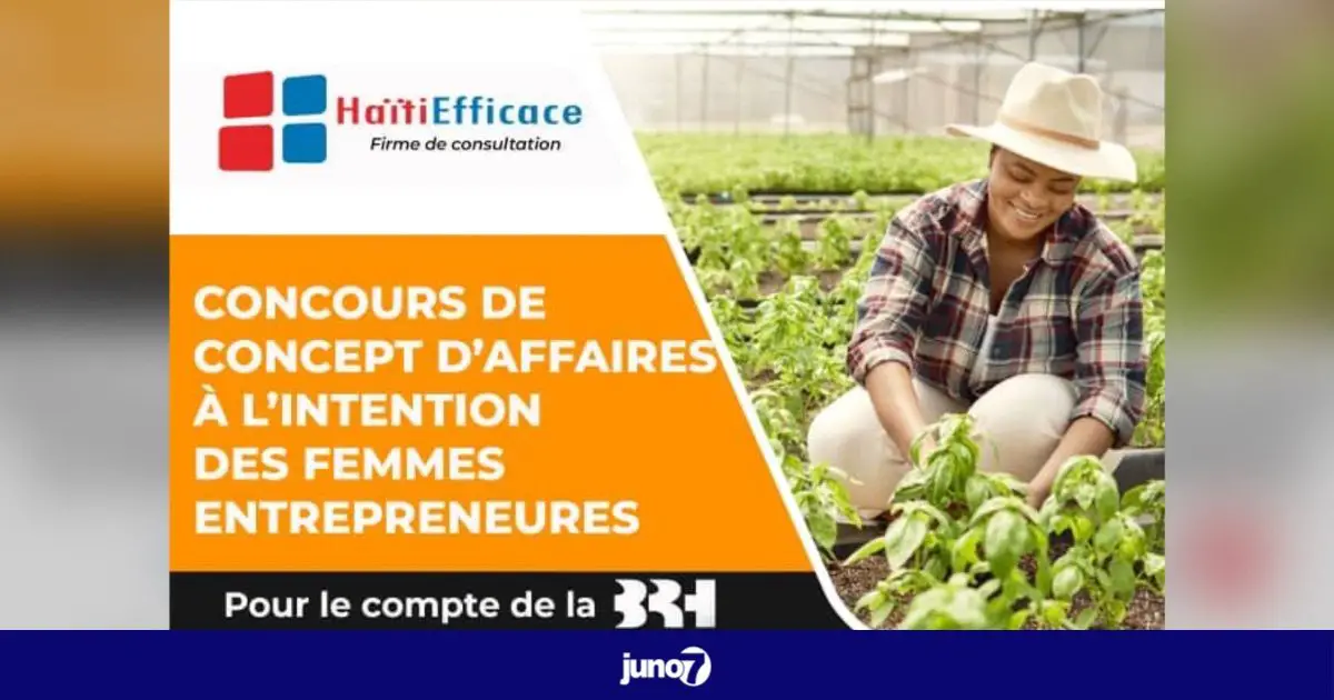 Haiti Efficace lance un concours de concept d’affaires pour les femmes entrepreneurs