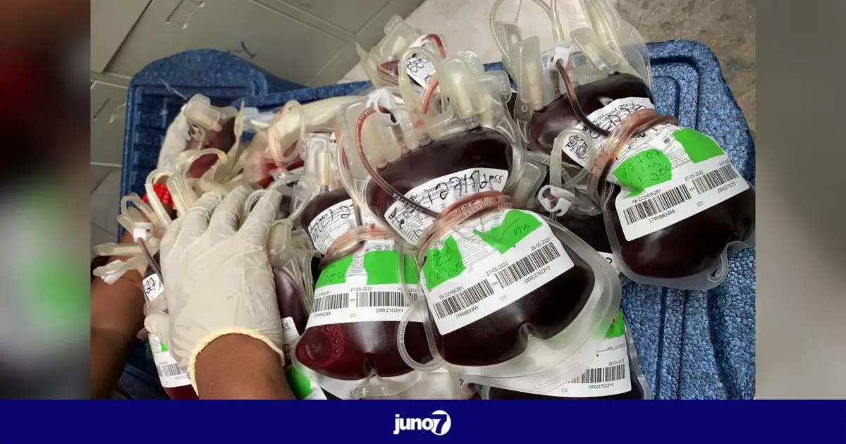 103 poches de sang collectées par RENAGSANG et PNST lors de la grande collecte annuelle