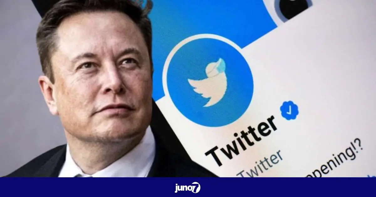 Elon Musk envisage de changer le nom et le logo de Twitter