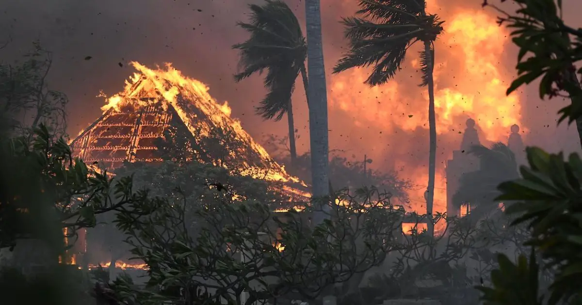 Une soixantaine de morts et des milliers de déplacés à cause des feux de forets sur l'île de Maui à Hawaï (Etats-Unis)