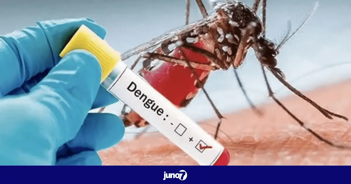 D'après le MSPP, 729 cas de dengue sont enregistrés en Haïti