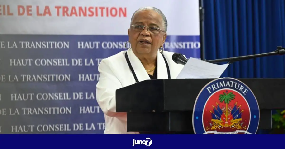 Pour sauvegarder l'image du RDNP, Mirlande Manigat doit démissionner du HCT selon le docteur Jean Ardouin Louis Charles
