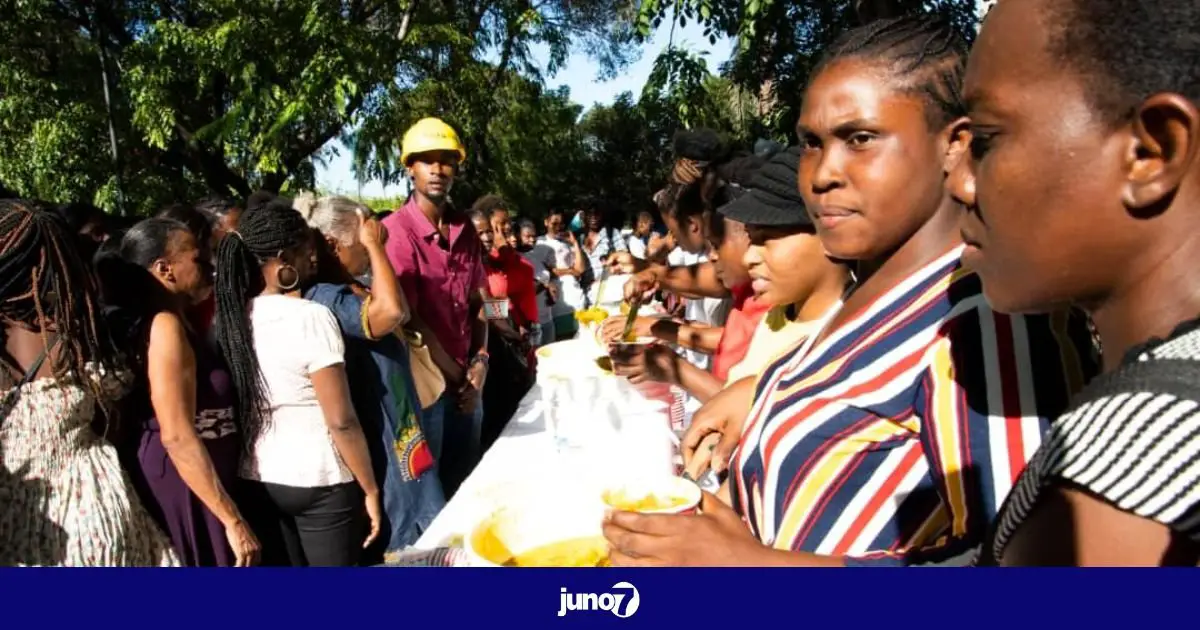 Platfòm Fanm Angaje Pou Ayiti distribye plis pase 4 mil bòl soup nan rejyon metwopolitèn lan pou 3è edisyon li