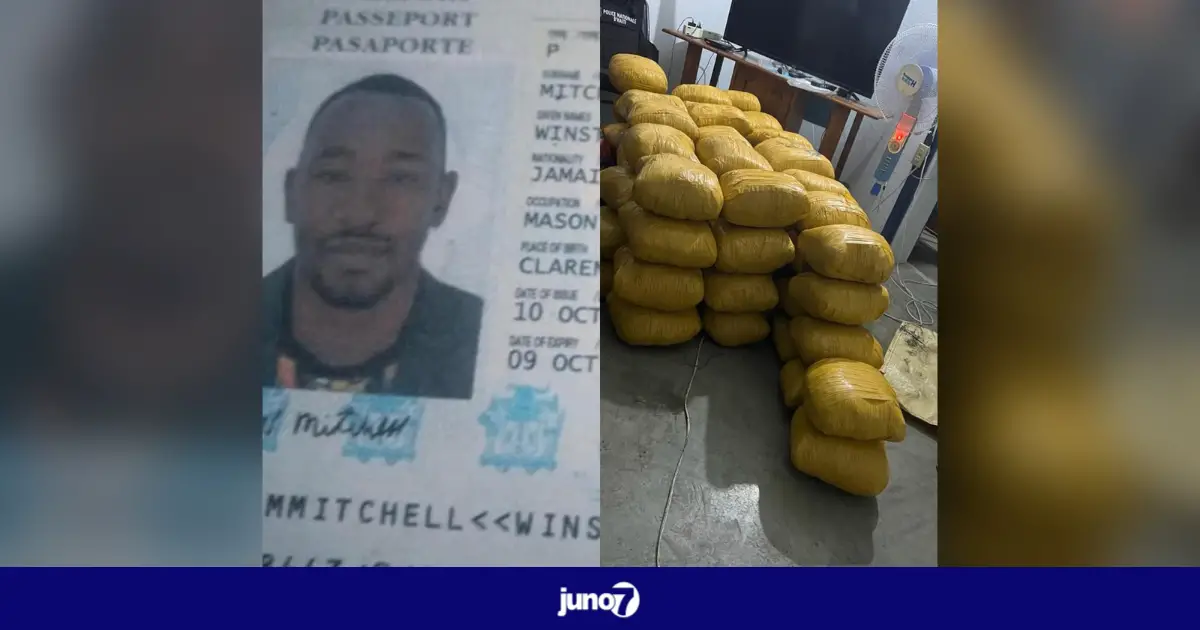 Un haïtien et un Jamaïcain arrêtés au Cap-Haïtien en possession d’environ 192 kilos de marijuana