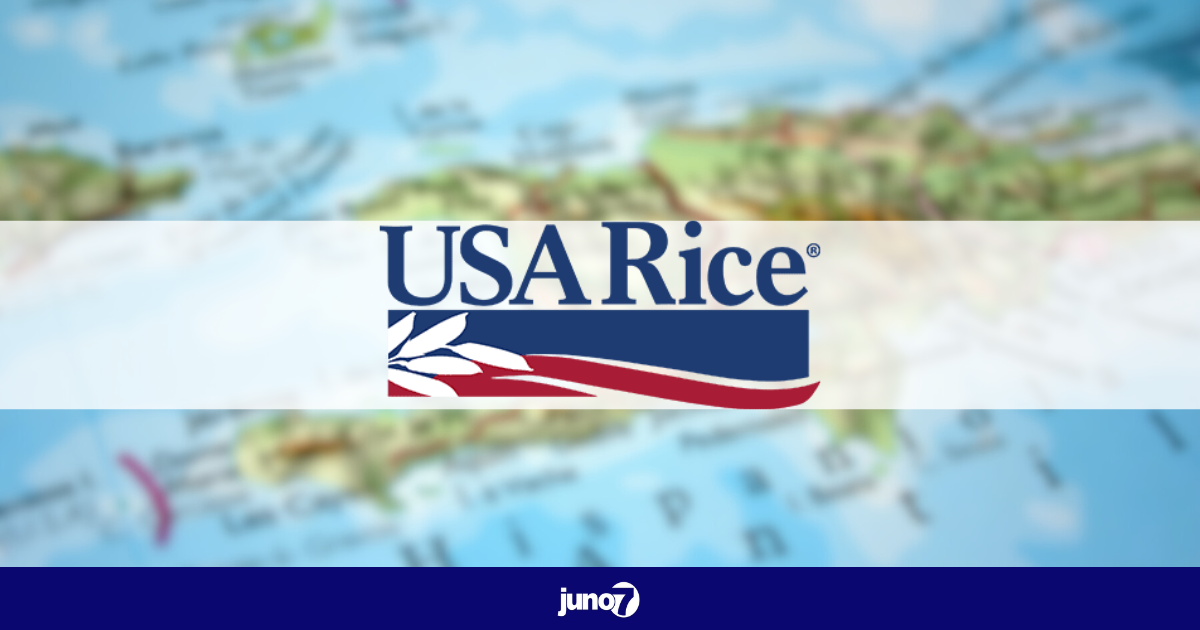 USA Rice réagit suite aux informations sur le riz américain exporté vers Haïti contenant des substances malsaines