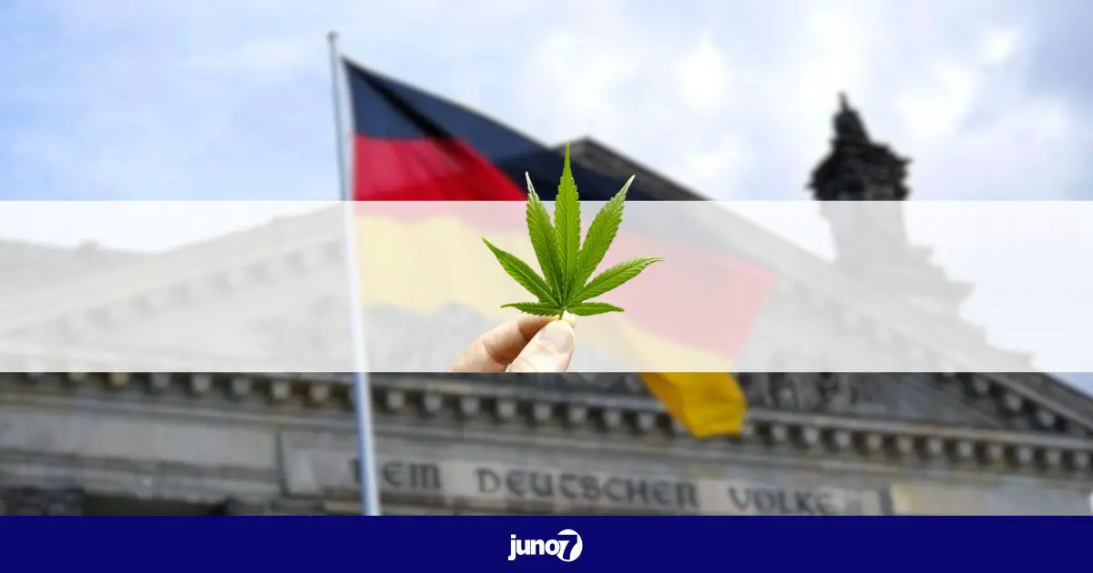 L'Allemagne dit officiellement oui pour le cannabis.