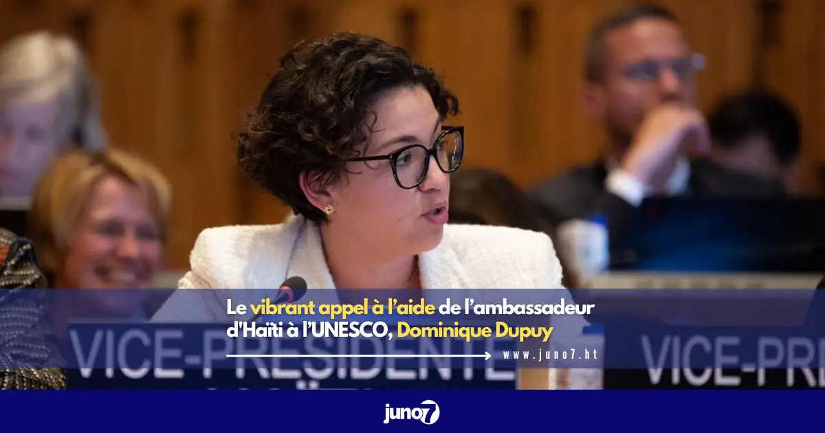 Le vibrant appel à l’aide de l’ambassadeur d'Haïti à l’UNESCO, Dominique Dupuy
