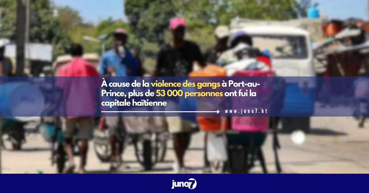 À cause de la violence des gangs à Port-au-Prince, plus de 53 000 personnes ont fui la capitale haïtienne