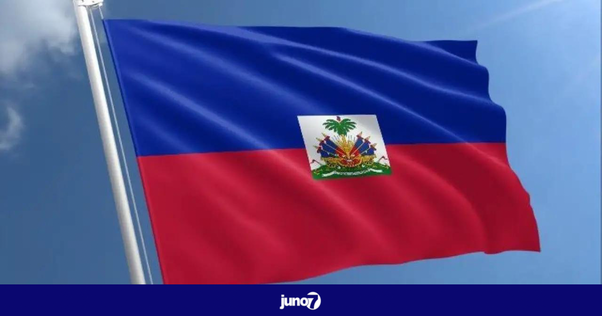 18 mai 1803: création du drapeau haïtien